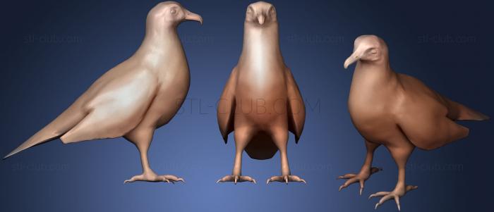 3D model Egiptean Vulture (STL)